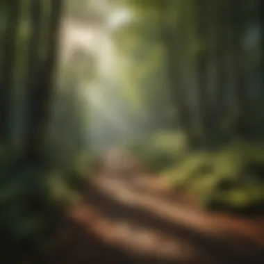 Magnificent Comprehensive Guide to the D82 Passport Renewal Form Magnificent Comprehensive Guide to the D82 Passport Renewal Form