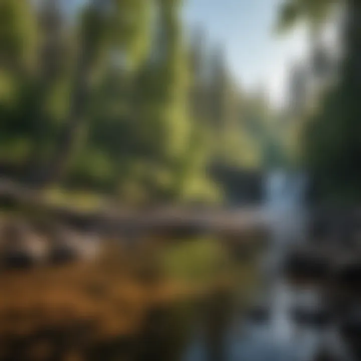 Magnificent Gooseberry Falls Campground Reservations: A Comprehensive Guide