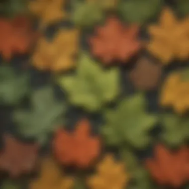 Illustration showing leaf identification features of various oak species.