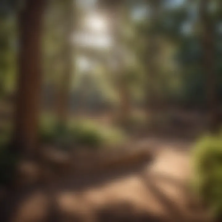 Community Engagement and Environmental Awareness A community event promoting environmental awareness at the amphitheater.