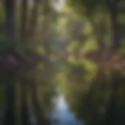 Abstract Watercolor Painting of Texas's Water Management Areas