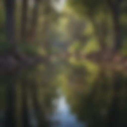 Abstract Watercolor Illustration of WMAs in Texas Abstract Watercolor Painting of Texas's Water Management Areas