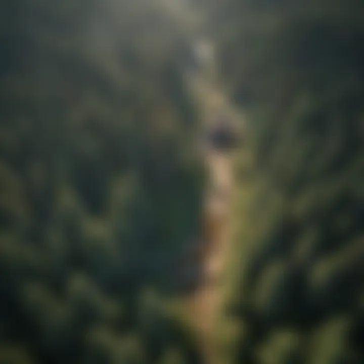 An aerial view of a sustainable forest property highlighting its natural beauty.