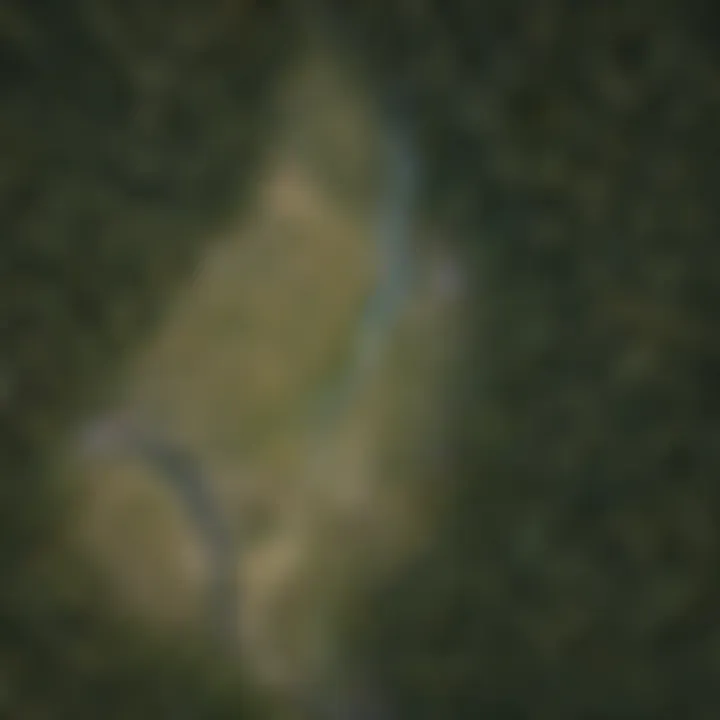 A map illustrating different forest land parcels available for purchase in Washington State.