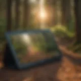 Illustration of Adobe Acrobat Reader Interface