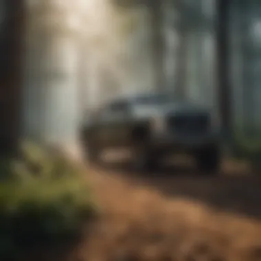 Advanced Brush Management Techniques Illustration showcasing advanced brush management techniques