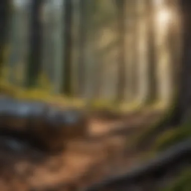 Unleashing the Power of Advanced Tools Visual Representation of Advanced Tools in Adobe Acrobat Reader