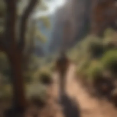 Explorers on Winding Trails Adventurous hikers exploring the winding trails of Penitente Canyon