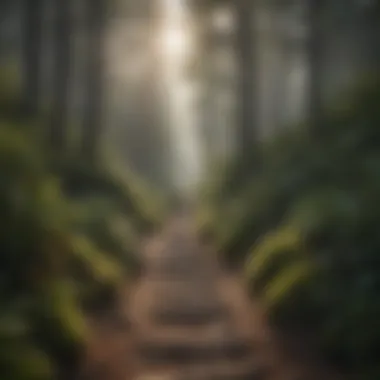 Adventurous Hiking Trail at Camp Nederland