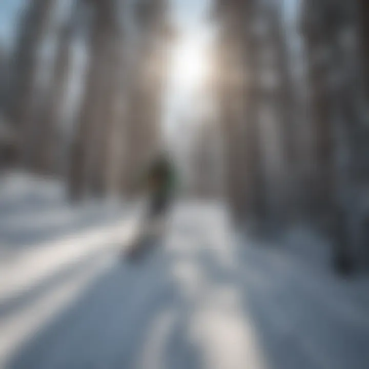 Adventurous Skiers in Action