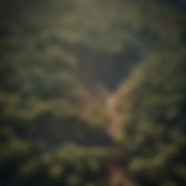 Aerial View of TBTC Tularosa's Biodiversity