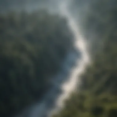 Mystical Forest Aura Aerial view of forest landscape shrouded in mist