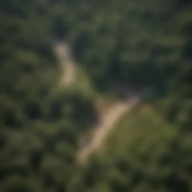 Strategic Conservation Efforts by Land Company Aerial view of a land company's conservation efforts
