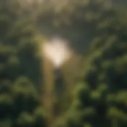 Aerial view of lush farmland with 50-gallon sprayer tanks in action