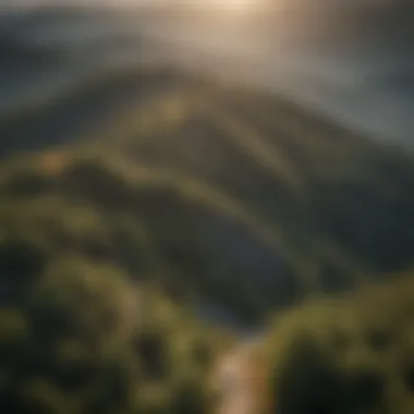 Aerial view of Roan Mountain