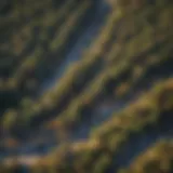 Aerial view of Santa Barbara RV Campgrounds
