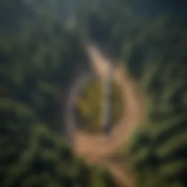 Aerial view of sustainable forestry practices