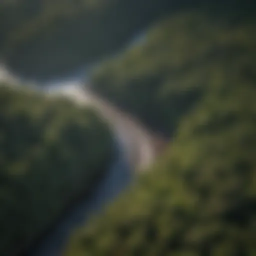 Aerial view of trade winds swirling above lush central forest region