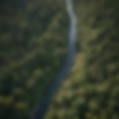 Aerial view of winding river within forest landscape