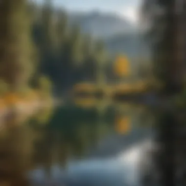 Tranquil Waterside Retreat Scenic Lake View from Alpine Wyoming RV Park