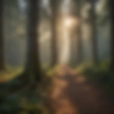 AI Integration for Sustainable Forestry Practices