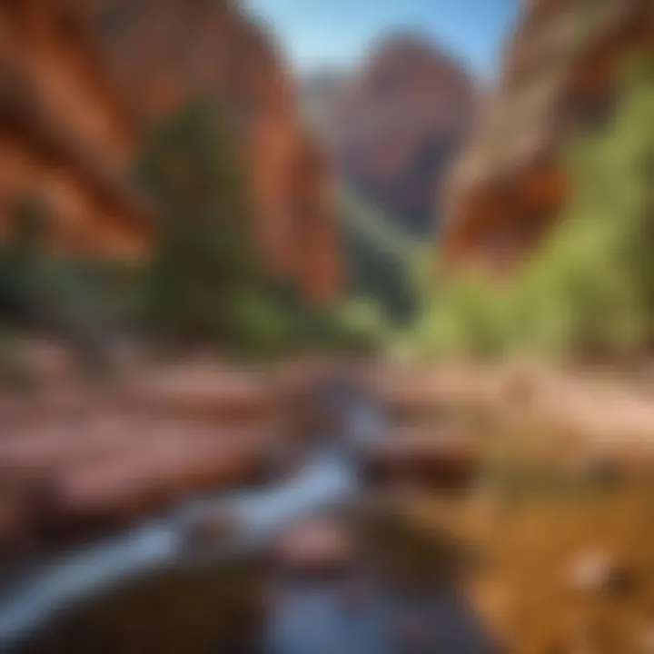 Ancient Rock Formations at Slide Rock in Sedona