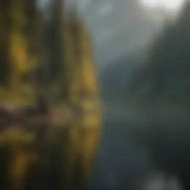 Angler casting a line against the backdrop of Alaskan wilderness