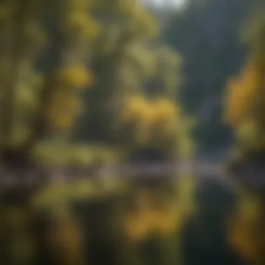 Angler casting a perfectly placed line into the water
