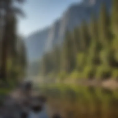 Angler Casting a Line into Yosemite's Tranquil River Angler casting a line into Yosemite's tranquil river