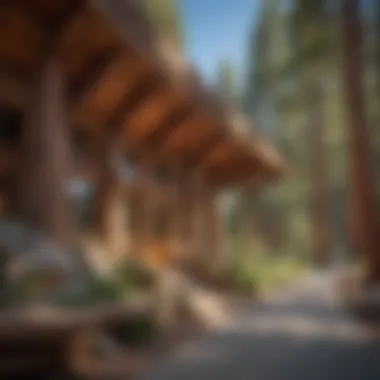 Architectural Marvel Intricate details of the architectural design at Kings Canyon National Park Visitor Center