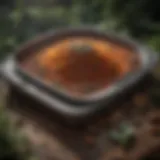 Artistic depiction of a seasoned drying pan with herbs and spices