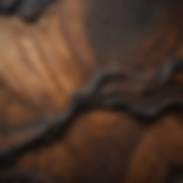 Artistic Shou Sugi Ban Wood Paneling