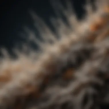 Asbestos Fibers Under Microscope Microscopic view of asbestos fibers