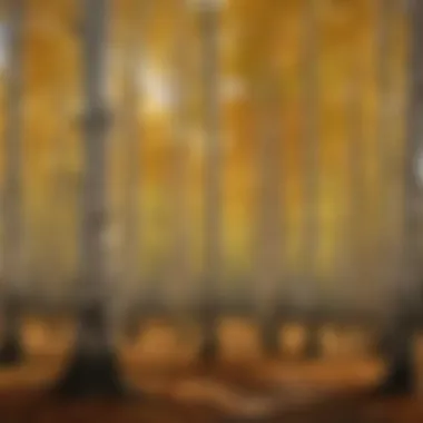 Vibrant aspen trees in autumn foliage