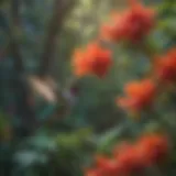 A vibrant garden filled with nectar-rich flowers attracting hummingbirds