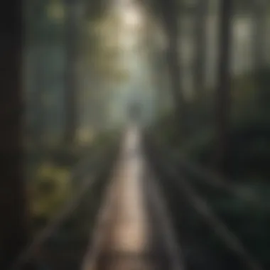 Backpacker Crossing Suspension Bridge