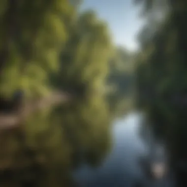 Angler casting a line in the scenic Boise River