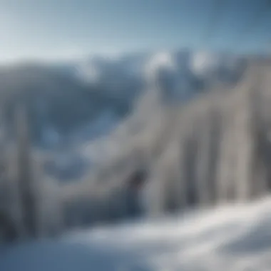 Busy Ski Lifts at Beaver Creek