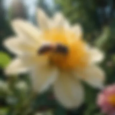 Bee Pollinating a Flower A bee pollinating a flower in a lush garden, illustrating the ecological relationship between them.