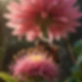 Bee Collecting Nectar A close-up view of a bee collecting nectar from a vibrant flower.