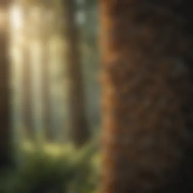 The Interwoven Threads of Nature Bees and Ecosystem Connection