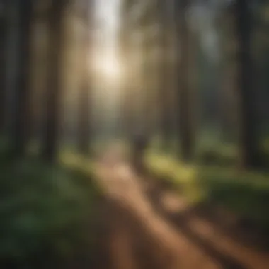 Thrill-seekers biking along scenic trails in Bend's beautiful surroundings