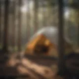 A serene tent nestled among towering pine trees