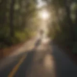 Bicyclist enjoying a coastal trail in Florida