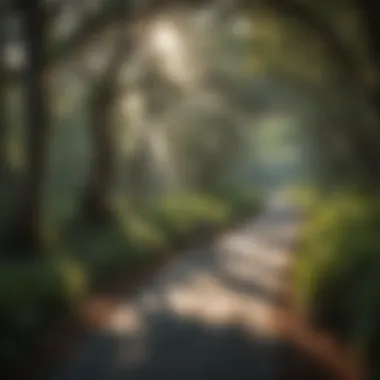 Bicycle path winding through lush greenery in Florida