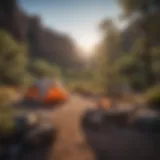 A serene campsite nestled in the lush greenery of Black Canyon National Park