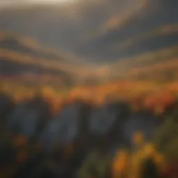 Aerial view of Black Hills landscape with vibrant fall colors