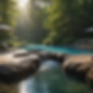 Unmatched Professional Pool Care Expert Pool Maintenance