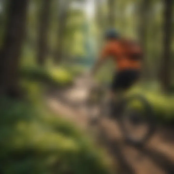 Scenic Beauty of Boise Mountain Bike Trails