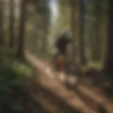 Thrilling Boise Mountain Bike Trail